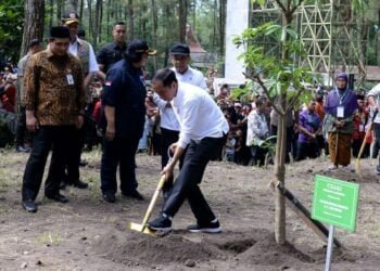 Sambangi Taman Nasional Gunung Merapi, Presiden Dorong Upaya Pelestarian Lingkungan