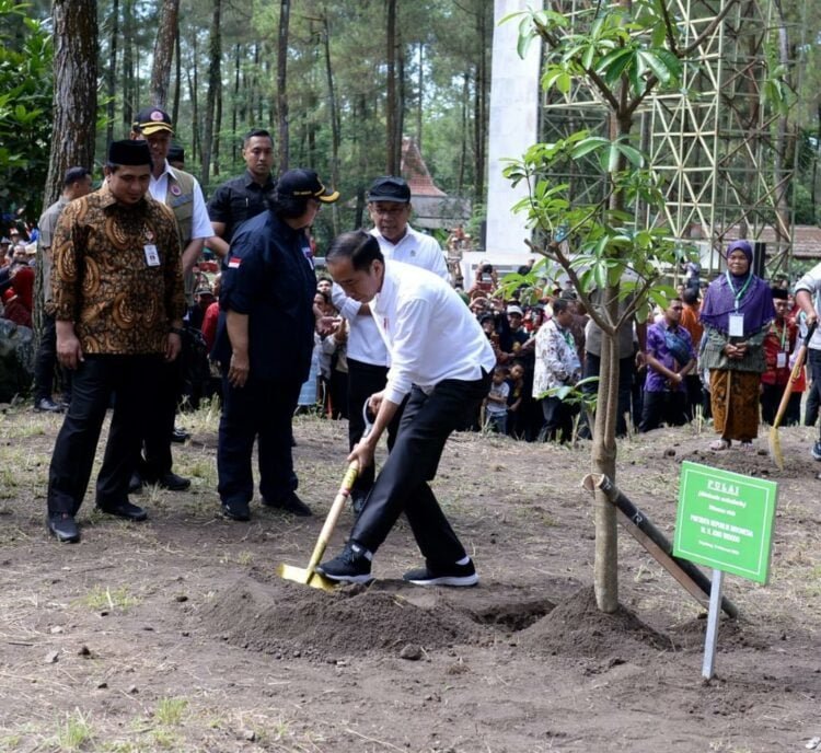Sambangi Taman Nasional Gunung Merapi