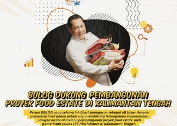 BULOG sebagai bagian dari BUMN Cluster Pangan