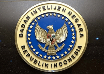 Klarifikasi BIN, Video HH Yang Viral Goyang Tiktok