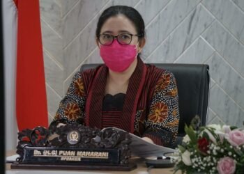 Puan: Pandemi Covid-19 Jadi Momentum Tepat Perbaiki Sistem Kesehatan Nasional