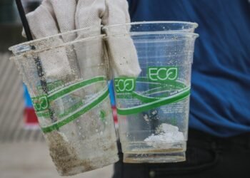 Demand For Sustainable Products in Pandemic May Lead to Brands Greenwashing