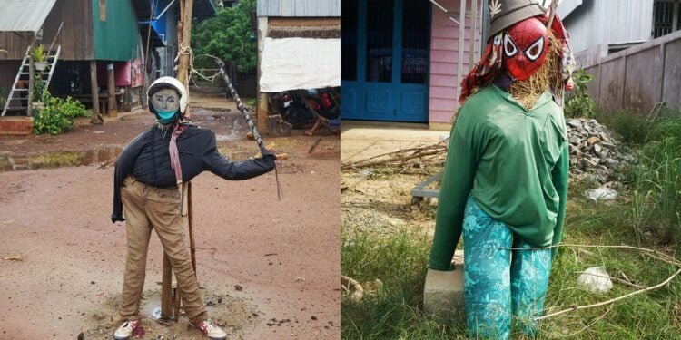 In Cambodia, People Are Scaring Away COVID With Scarecrows