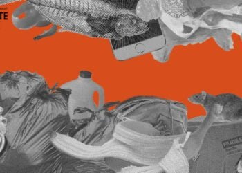 This Heat Map Reveals Which Cities in Asia-Pacific Are Effectively Managing Waste