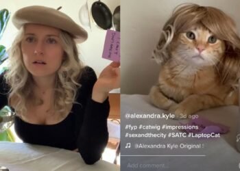 How to Make ‘Sex and the City’ Better? Add a Cat in a Wig