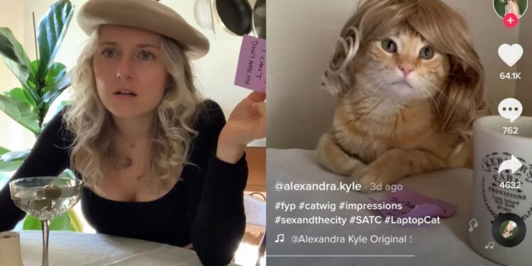How to Make ‘Sex and the City’ Better? Add a Cat in a Wig