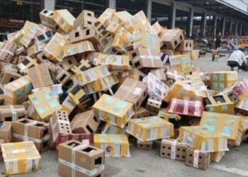 5,000 Pets Found Dead Inside Delivery Boxes in China