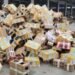 5,000 Pets Found Dead Inside Delivery Boxes in China