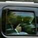 Trump Just Exposed Secret Service to COVID-19 to Do a Drive-By for MAGA Supporters