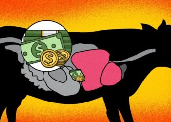 Inside the Million-Dollar Market for Cow Gallstones