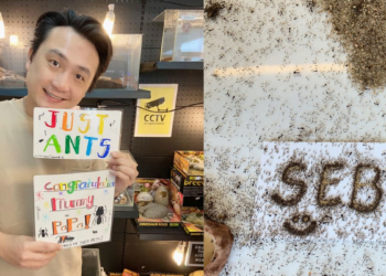 Ant-eresting: Orang Ini Berhenti dari Pekerjaannya untuk Menjual Serangga