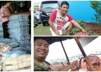 Korelasi Berkebun Dengan Tingkat Stres Masyarakat