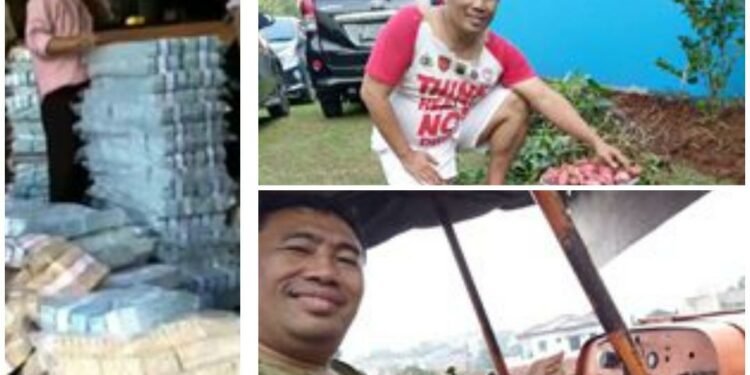 Korelasi Berkebun Dengan Tingkat Stres Masyarakat