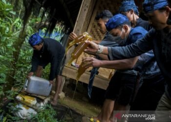 Madu Palsu Dimusnahkan Oleh Warga Baduy