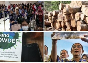 Bibit Lobster, Kayu Glondongan dan Eksport PRT