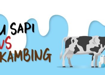 Tujuh Manfaat Susu Kambing