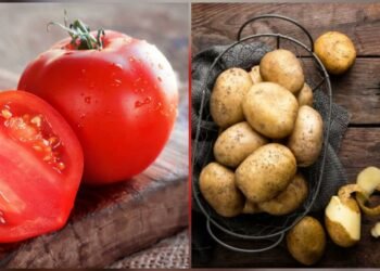 Bahan Makanan Yang Tidak Baik Masuk Ke Kulkas