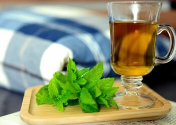 Manfaat Teh Peppermint bantu