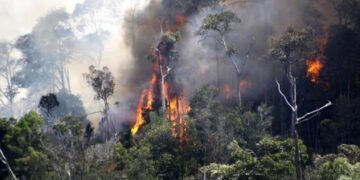 Benarkah Obral Ijin di Era Jokowi?