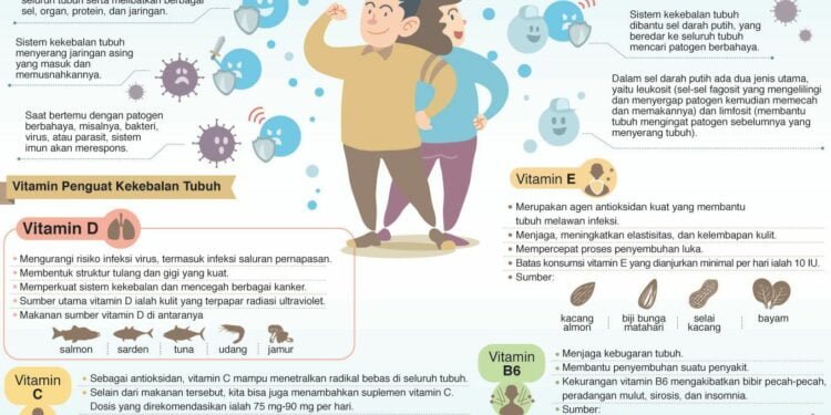 The Truth About Vitamin D 1 The Truth About Vitamin D