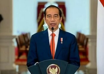 Jokowi: Cinta Barang Kita