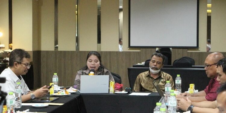 Kemendagri Fasilitasi Penajaman Arah Kebijakan Dokrenda 4 DOB Papua