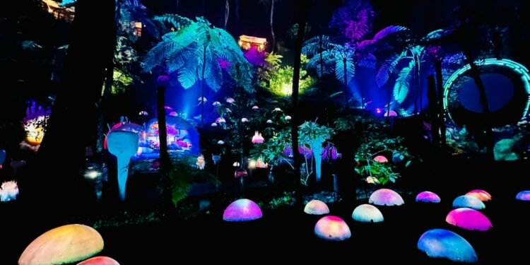Hutan Mycelia: Destinasi Wisata Malam Unik di Bandung
