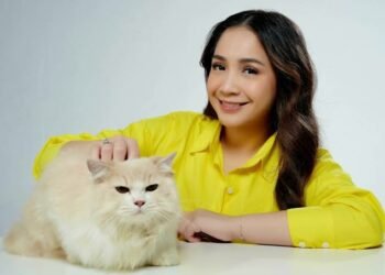 Cara Nagita Slavina Menciptakan Bonding yang Kuat dengan Kucing-kucing Kesayangannya