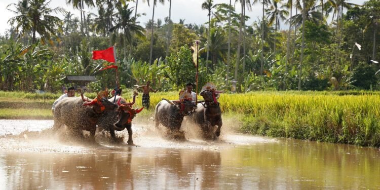 PLN Dukung Peningkatan UMKM dan Pelestarian Budaya Jembrana Lewat Relawan Bakti BUMN