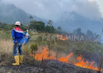Respons Cepat Pertamina Geothermal Energy Area Kamojang Berhasil Padamkan Kebakaran Hutan Gunung Guntur