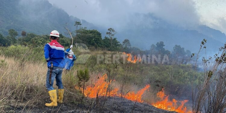 Respons Cepat Pertamina Geothermal Energy Area Kamojang Berhasil Padamkan Kebakaran Hutan Gunung Guntur