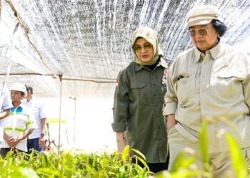 Menteri LHK Siti Nurbaya: Pembangunan Persemaian Skala Besar Liang Anggang, Kolaborasi Hijaukan Indonesia