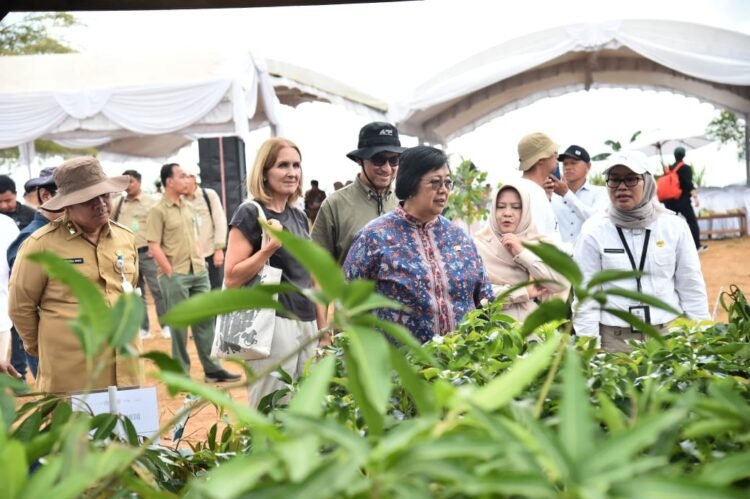 Menteri Siti Nurbaya dan Dubes Norway Tinjau Kerja Lapangan Aksi Iklim