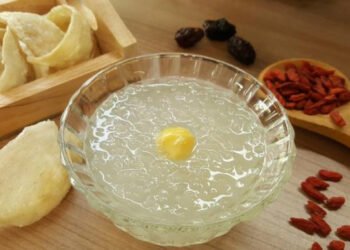 manfaat sarang burung walet superfood alami