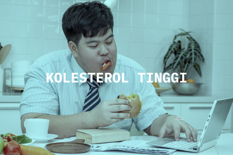 kolesterol tinggi