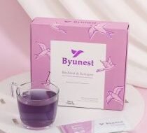 manfaat sarang burung walet