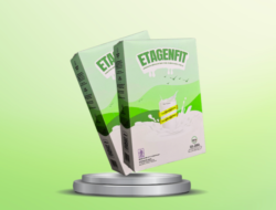 manfaat sarang burung walet