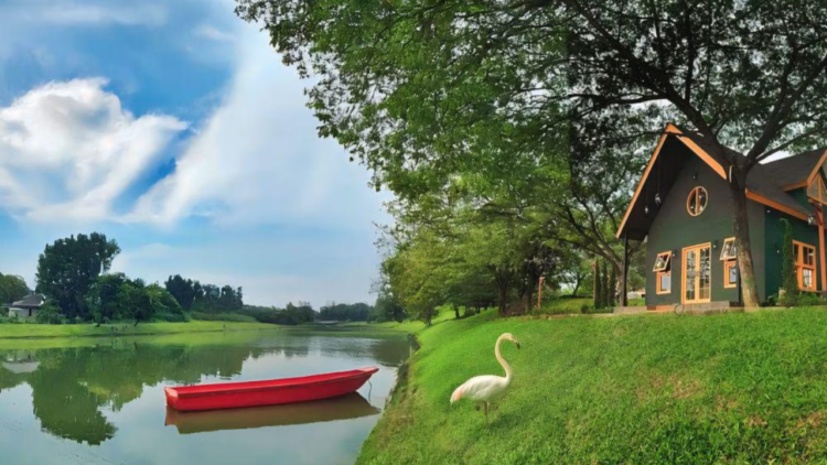 Rekomendasi tempat first date di Depok 2026