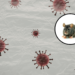 apa itu hantavirus?