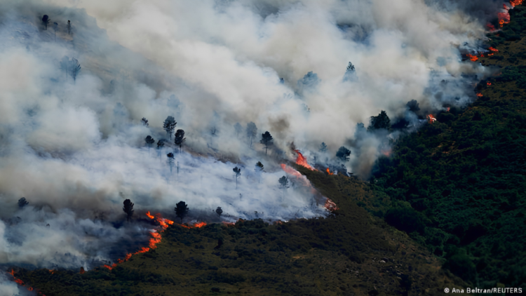 kebakaran hutan Eropa kebakaran hutan Eropa