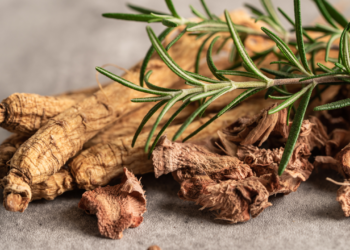 manfaat ginseng