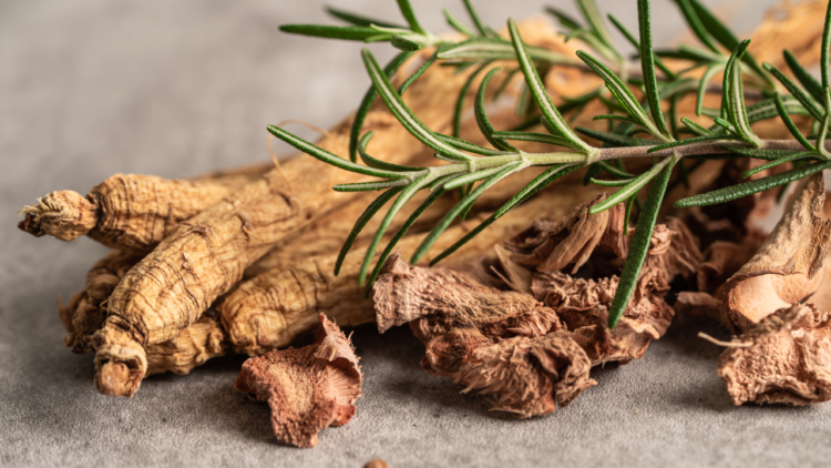 manfaat ginseng
