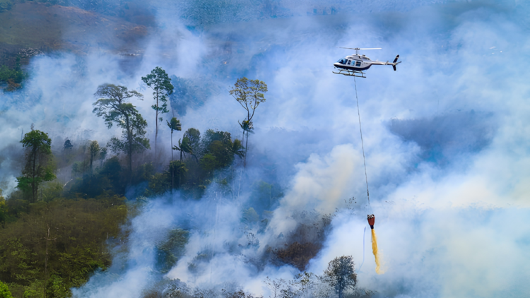helikopter water bombing