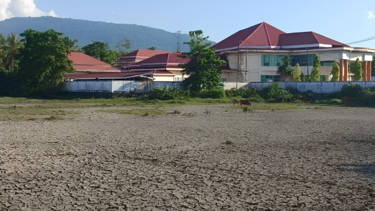 darurat kekeringan