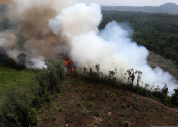 karhutla Kalimantan