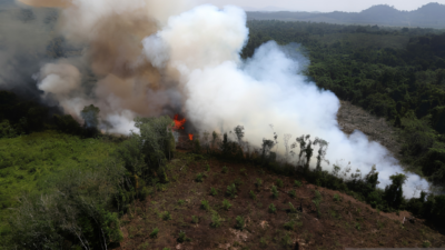 karhutla Kalimantan