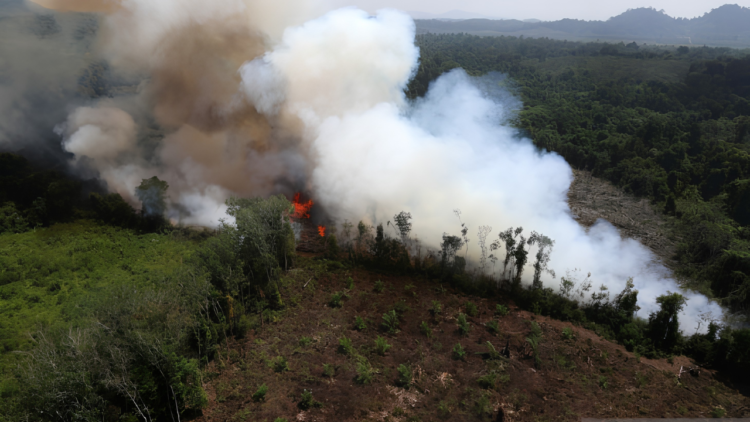 karhutla Kalimantan