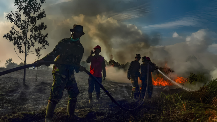 karhutla Kalimantan karhutla Kalimantan