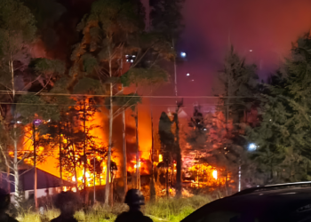 kantor pemerintah Puncak