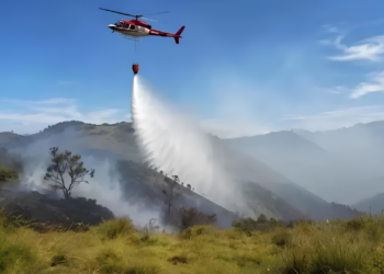 karhutla Bromo